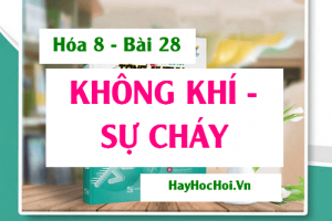 Không khí là gì, có tính chất gì ? Sự cháy và sự Oxi hóa chậm là gì? Ví dụ - Hóa 8 bài 28